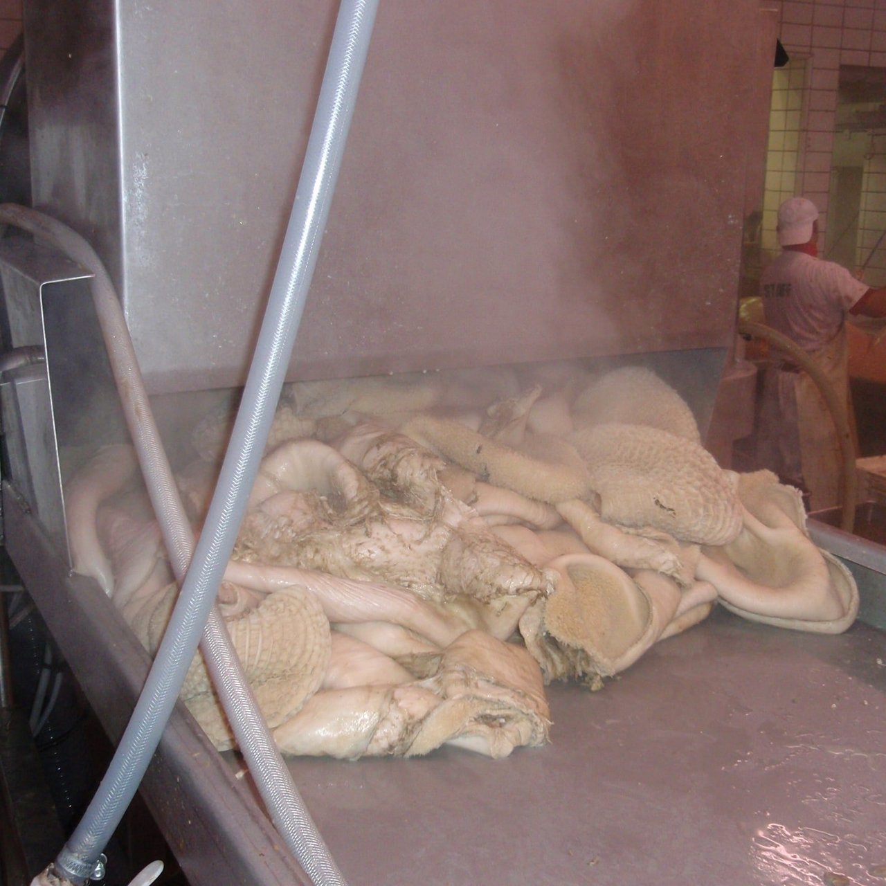 Tripe washed and whitened inside centrifuging machine. Tripe washed and whitened inside centrifuging machine.