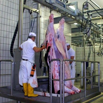 Skinning platform for low capacity cattle slaughterhouses Skinning platform for low capacity cattle slaughterhouses