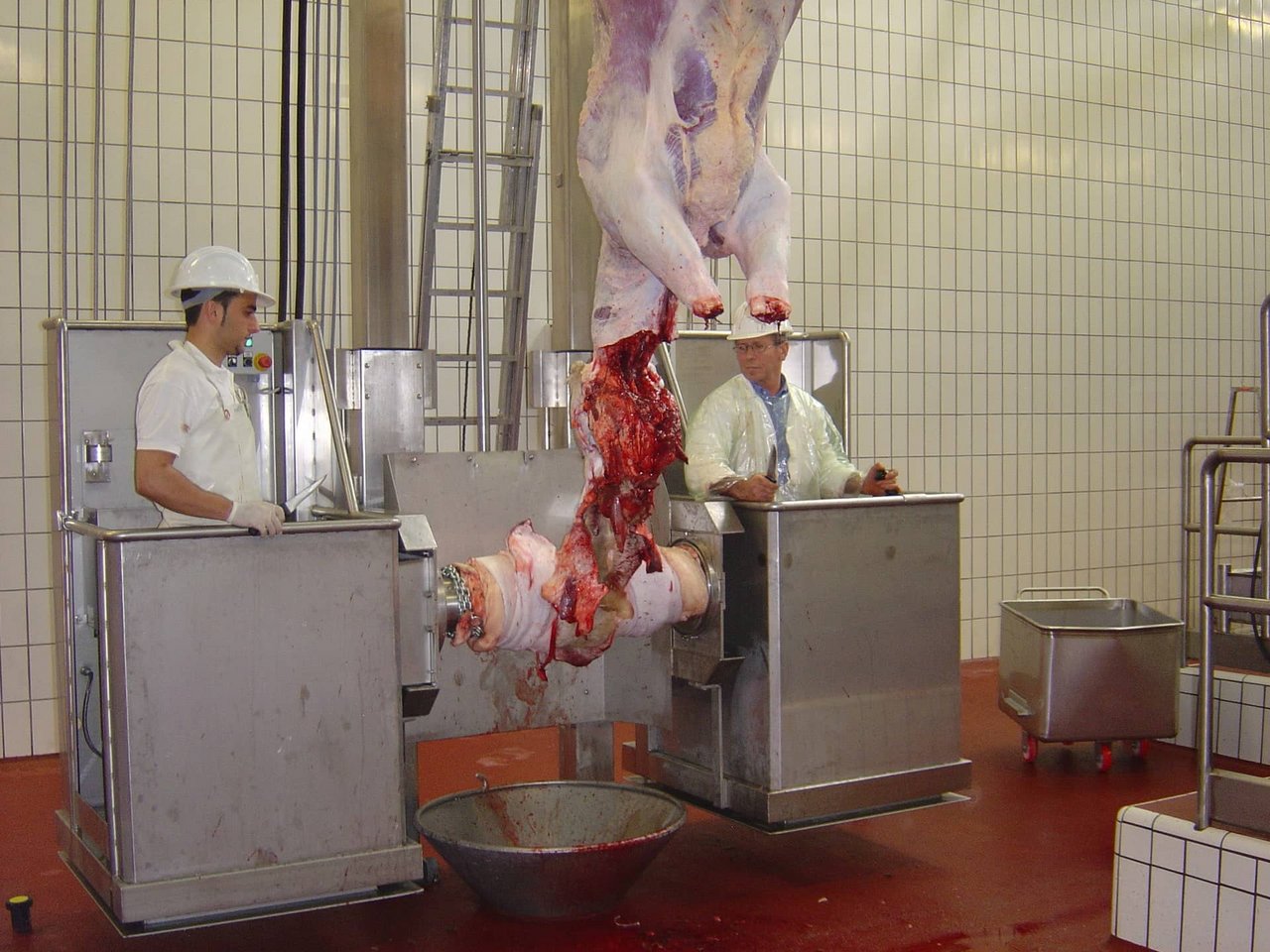 Skinning roll in operation Skinning roll in operation